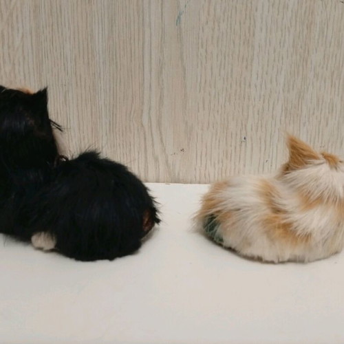 Vintage realistic cat figurines used, set with white, black, beige