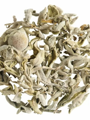 Sage leaf new