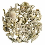 Sage leaf new