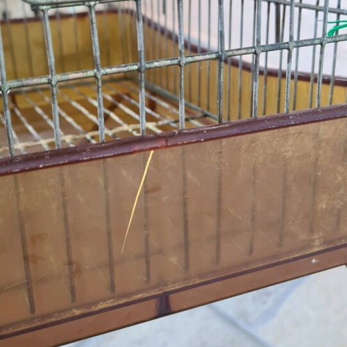 Birdcage used, small size with bottom grate