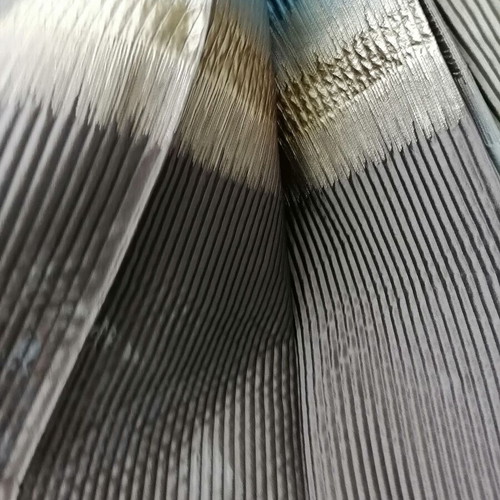 Polyester fabrics new, 0.90 x 1.32 m