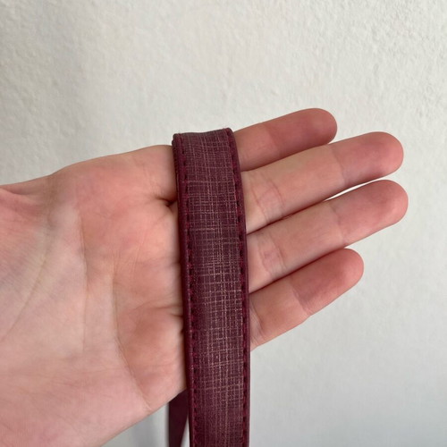 Veta bag Burgundy new crossbody with multiple compartments