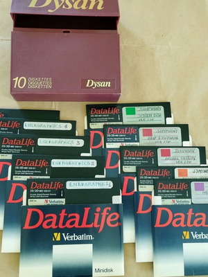 Datalife and Verbatim 5.25" computer floppy disks used, set of 10 with Dysan case