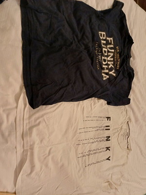 Funky Buddha men's t-shirts used, white large and blue medium