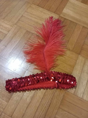 Charleston carnival accessory used without damage