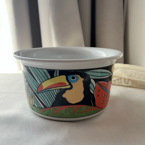 Vintage Pillivuyt France Tukan Porcelain Bowl mint condition