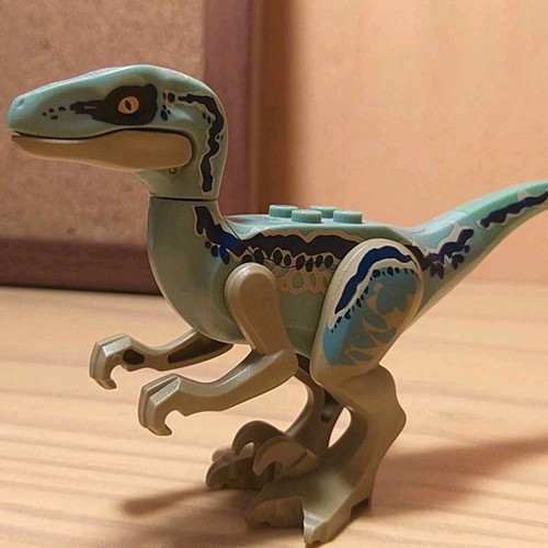 Raptors used 3rd generation in very good condition