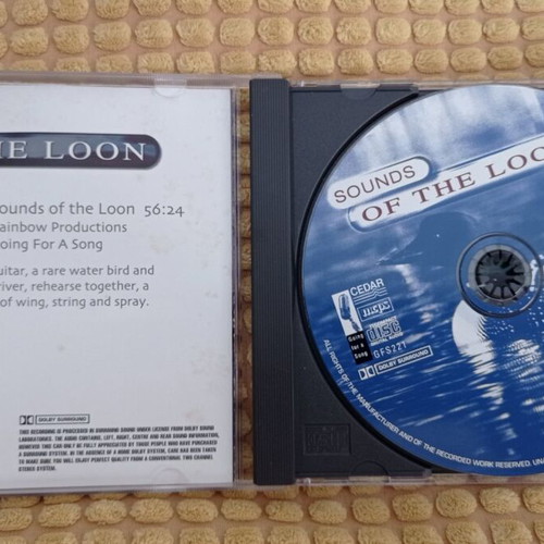 Gallahad Sounds Of The Loon CD like new, ambient relaxation music