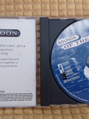Gallahad Sounds Of The Loon CD like new, ambient relaxation music