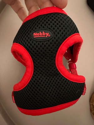 Nobby harness size XS like new