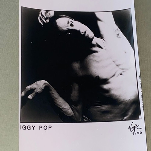 Iggy Pop official promo photo by Michael Lavine like new