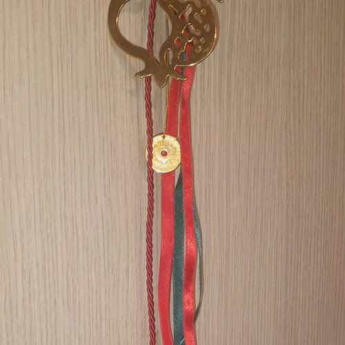 Handmade lucky charm 2026 with pomegranate and coin new