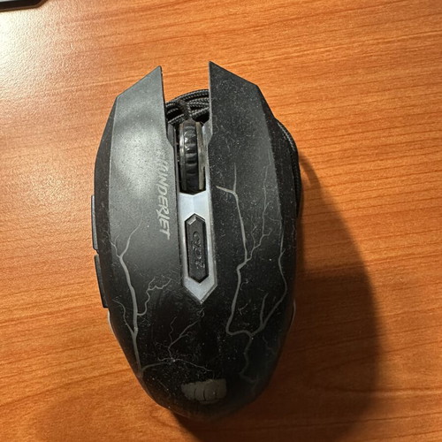 computer mouse