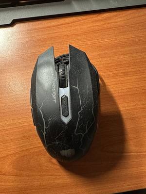 computer mouse