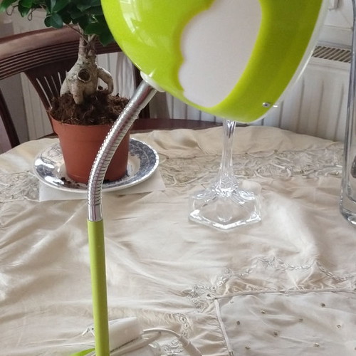 Desk lamp new with flexible neck