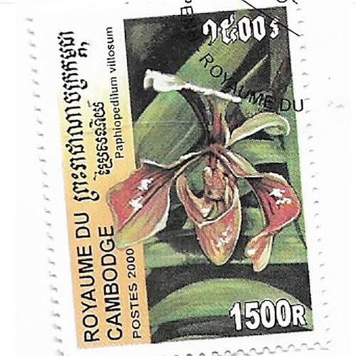 Cambodia 2000 orchids 4 stamps CTO new
