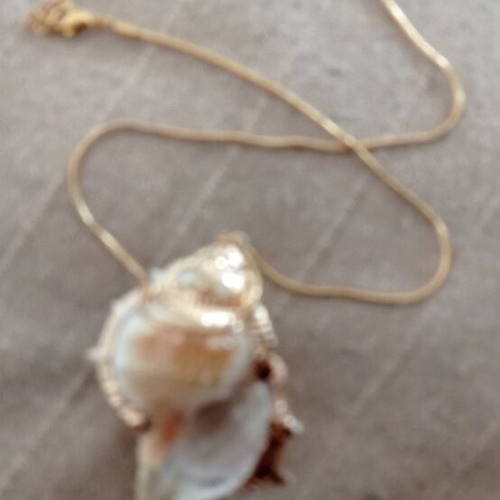 Necklace with shell*Final price