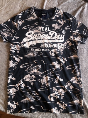 Ανδρικό T-shirt Superdry, άσπρο και μπλε, μέγεθος M