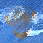  ΔΙΑΚΟΣΜΗΤΙΚΑ