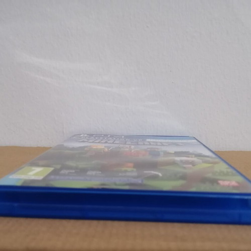 Minecraft PS4 promo display case used, no game included