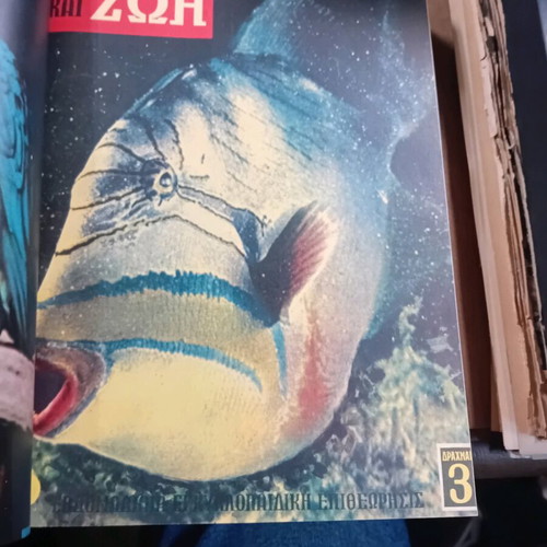 Epistimi kai Zoi used, 26 issues 1959 in hardcover volume