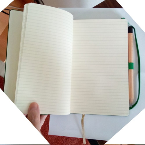 Google notebook with detachable pencil like new