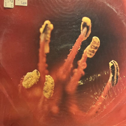 Centerpiece Hank Crawford and Calvin Newborne vinyl used