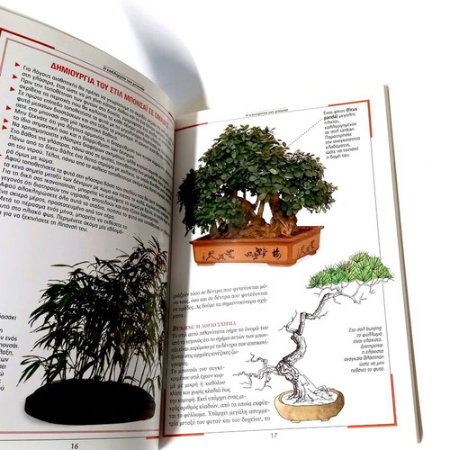 The Cultivation of Bonsai like new, techniques and care guide