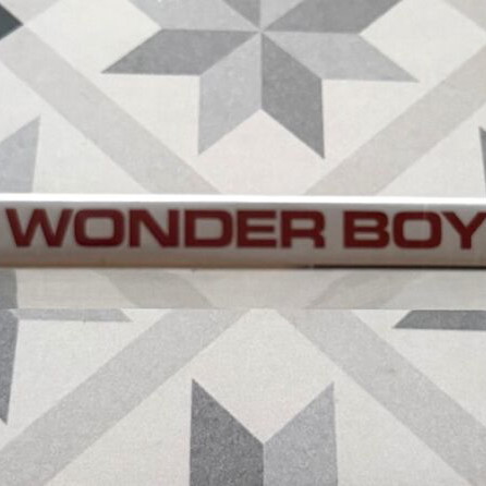 Wonder Boys DVD new with English subtitles