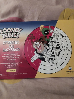 Βιβλίο ζωγραφικής Looney Tunes καινούργιο