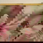  Πακέτο Καδρακια Flower print