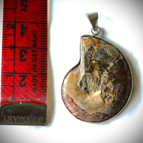 Fossil pendant 10,000 years old, handmade, 925 sterling silver