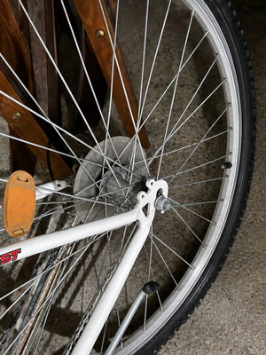 Everest Lady city bike with handlebar gears, white