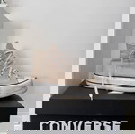  Beige Converse
