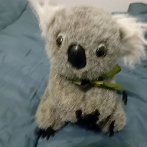 Koala stuffed toy used