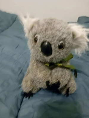 Koala stuffed toy used