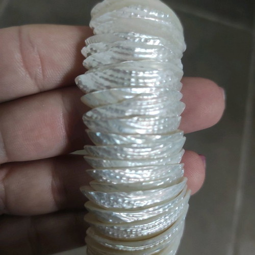 Shell bracelet new from Ohrid