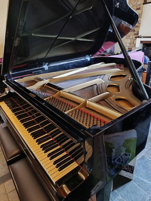 Estonia Grand Piano 3/4 Soviet Era like new