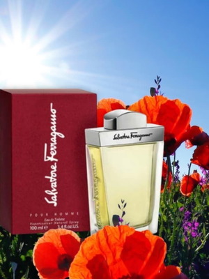 Salvatore Ferragamo Eau de Toilette natural spray 50ml καινούργιο