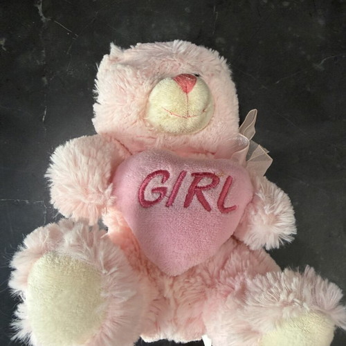 Pink plush teddy bear