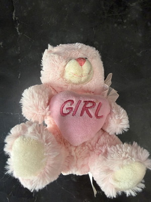 Pink plush teddy bear