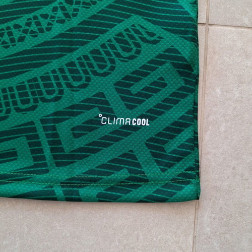 Mexico National Jersey Pineda new, size M