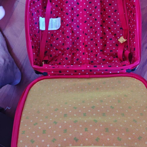 Disney children's travel suitcase used, colorful