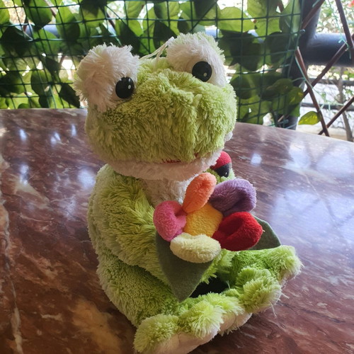 Plush Frog like new with colorful flower