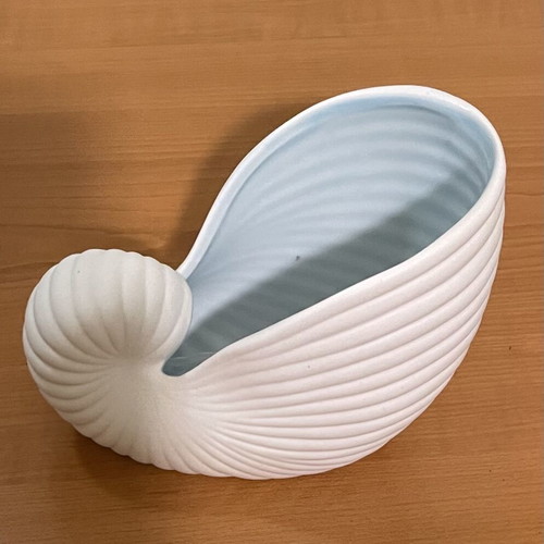 White ceramic shell new with blue interior