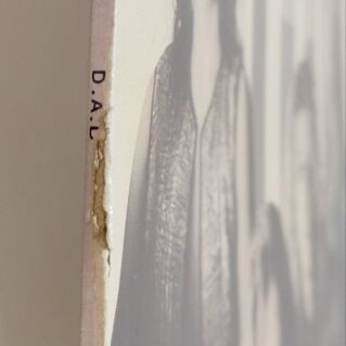 D.A.D. No Fuel Left for the Pilgrims vinyl record, rock
