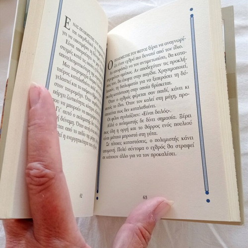 Book Paulo Coelho The Warrior of the Light Manual used