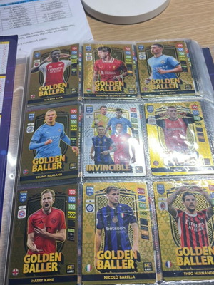 FIFA 365 2025 album used
