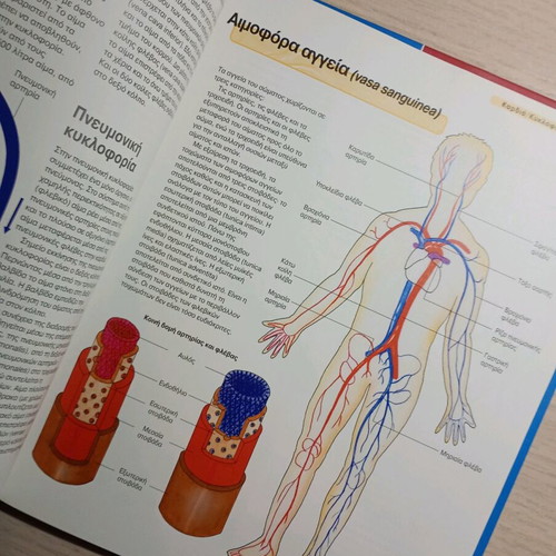 To Soma Mas anatomy book like new for teens and children