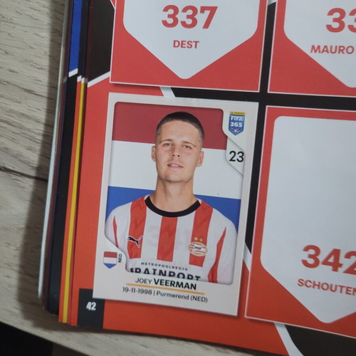 Panini FIFA 365 sticker album